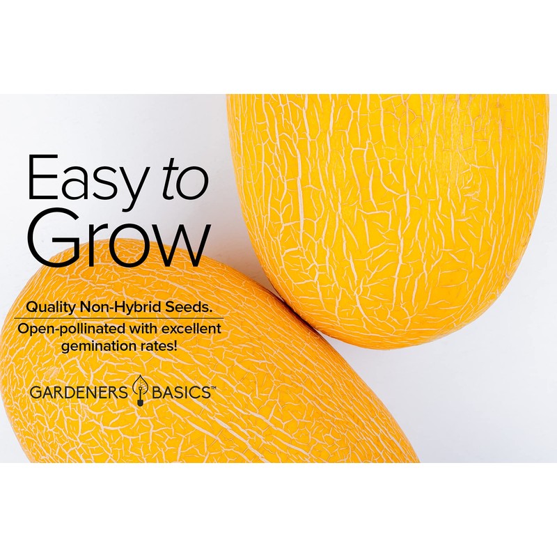 Yellow Canary Melon Seeds for Planting Heirloom, Non-GMO Vegetable Variety-