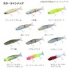 Daiwa Sea Bass Lure More Than Lazy Fashad J170.5S Chart