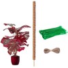 Tallkeey 80cm Moss Pole for Plants - Bendable Plant Supports