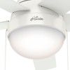 Hunter 46 inch Indoor Ceiling Fan with LED Light -