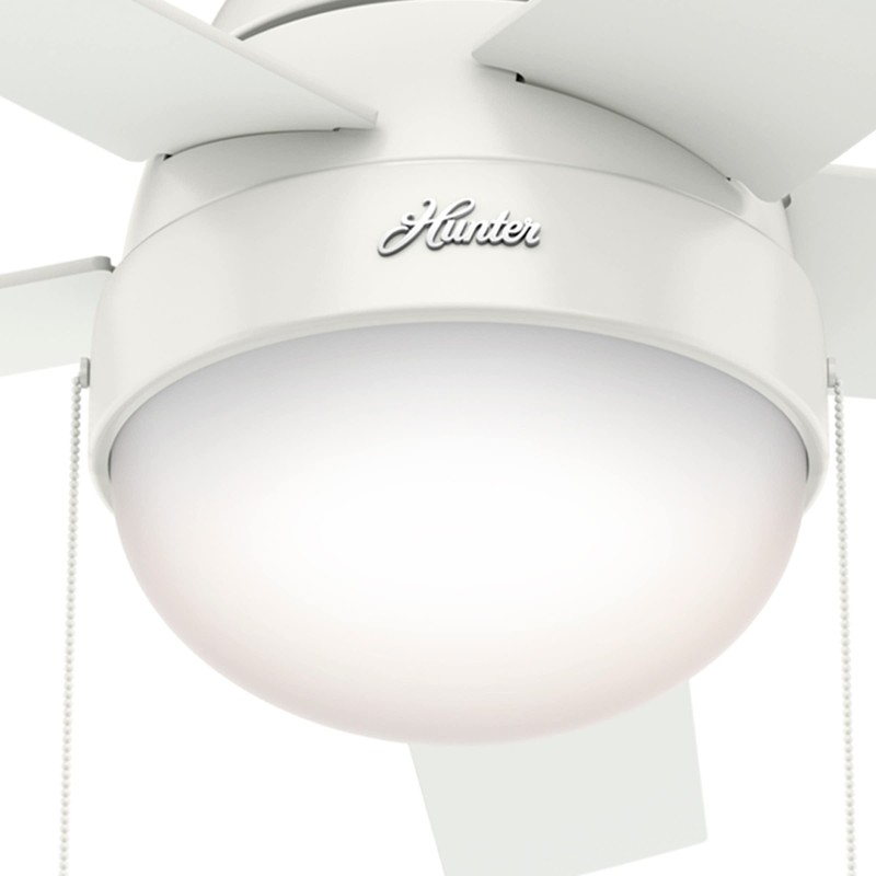 Hunter 46 inch Indoor Ceiling Fan with LED Light -