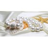 Schmuckwilli Women's Shell Pearl Necklace, White, High Gloss, Magnetic Closure,
