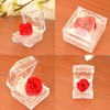 Birthday Anniversary Gift for Mother's Day Women Red Rose (Mini)