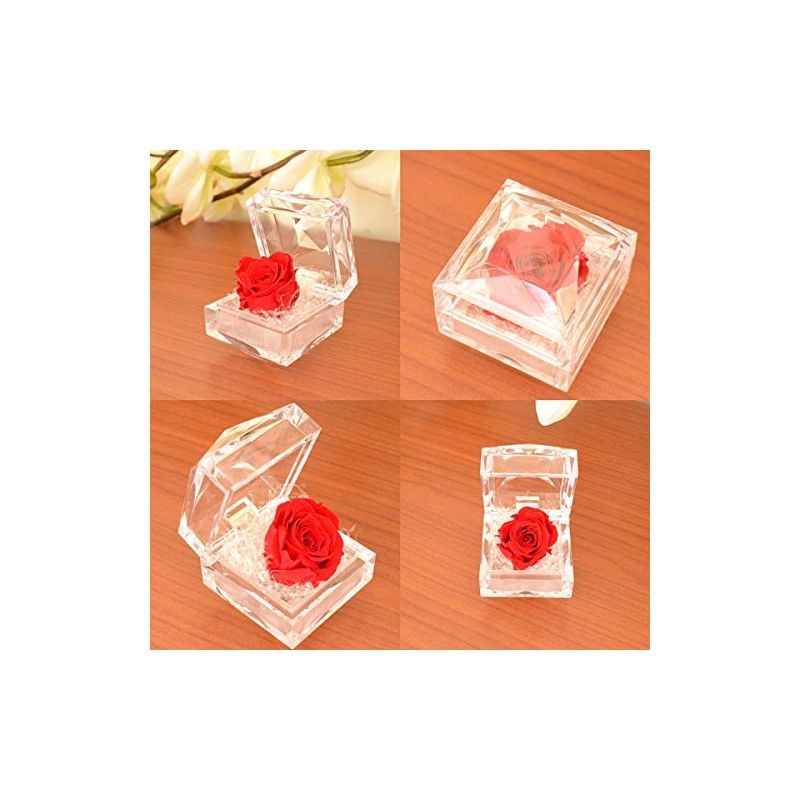 Birthday Anniversary Gift for Mother's Day Women Red Rose (Mini)