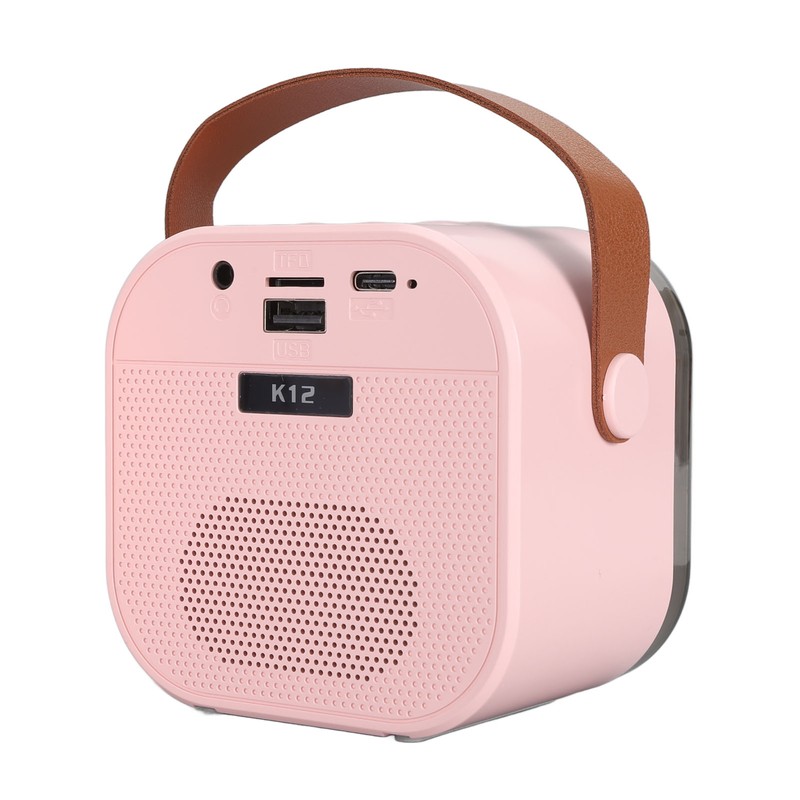 Portable Karaoke Machine LED Dynamic Light Small Bluetooth Speaker with