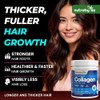 Marine Collagen Powder 10000mg | Type 1 & 3 Unflavoured
