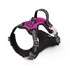 WanWeek Dog Harness, Dog Trainer/Veterinarian Recommended, Mesh, Anti-Pull, Adjustable Size,