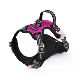 WanWeek Dog Harness, Dog Trainer/Veterinarian Recommended, Mesh, Anti-Pull, Adjustable Size, Breathable, With Front and Rear D-Rings (Checkered Pink, S)