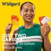 Wellgard Rise Ready – Advanced Formula for Energy Release &