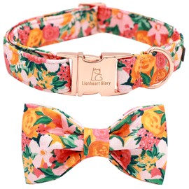 Lionheart glory Premium Floral Dog Collars, Bowtie Dog Collar, Adjustable Heavy Duty Girl Dog Collar with Bow for Medium Dogs