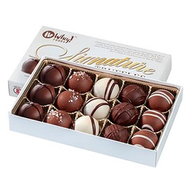 Vegan, Gluten Free, Nut Free | Gourmet Chocolate Truffle Collection (15 Pieces) | Dairy Free, Soy Free, Sesame Free | Allergy Friendly Gifts | No Whey Foods