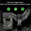 Solar Trail Camera 1080P 30fps 20MP Game Camera 60 Degree