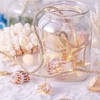 Beach Theme Hemp Conch String Lights | 7.2FT & 39LEDs