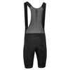 Altura Progel Plus Men's Bib Shorts
