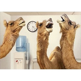 Camels at Office Water Cooler Avanti Humorous/Funny Retirement Card