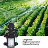 12V Water Pressure Diaphragm Pump 60W Self Priming Booster Sprayer