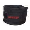 Grizzly Fitness 6-Inch Bearhugger Nylon Training Belt, Large
