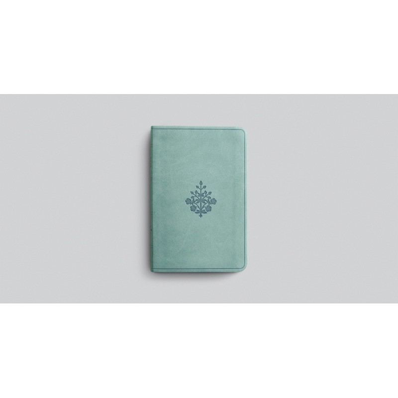 ESV Value Compact Bible (TruTone, Paris Sky, Branch Design)