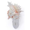 Seashell Night Light Real Pink Murex Shell Beach Decor w.