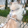 Cat Harness and Leash Set for Safe Walking, Escape Proof