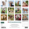 Just Weimaraners 2023 Wall Calendar