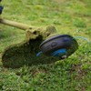FEPITO 1.6mm x 100m Strimmer Line for Garden Grass Strimmer