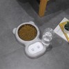 Dog Bowls, Cat Food and Water Bowl Set with Water