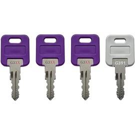 G301 - G391 KeyPower RV Keys for Global Link Precut Keys (3), Select Your Key Number, Comes with a G391 Key (G367)