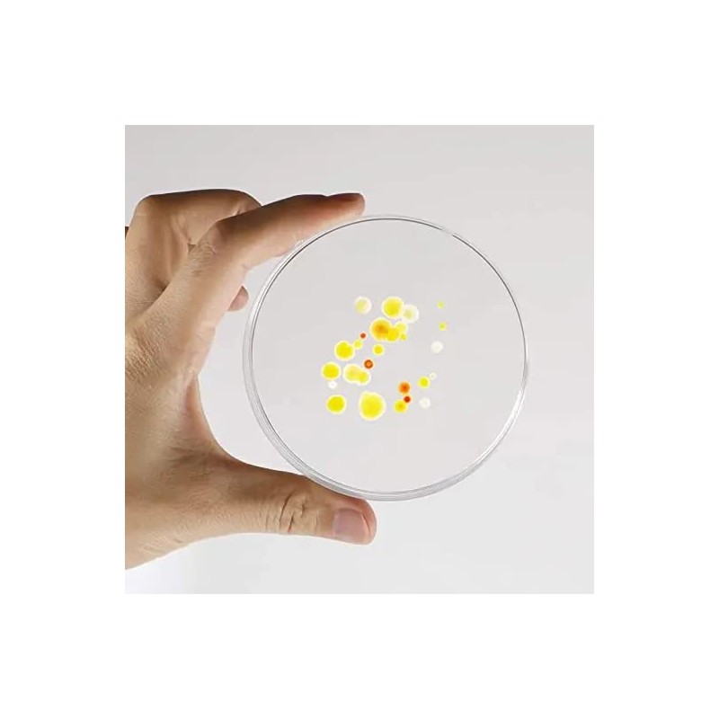 BIPEE Polystyrene Petri Dish 60 x 15mm, Sterile, Pack of