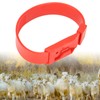 10Pcs Goat Collar Sheep Identification Bands Livestock Marking Ring Farming
