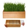 BENPIN Wooden Cat Grass Planter (no Seeds Included) with Potting