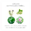 Ayura Vicasa Force Serum α Serum, 1.9 oz (55 g)