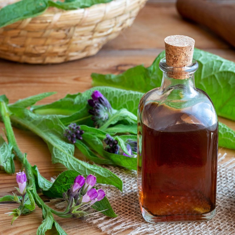 Outsidepride Comfrey Herb Seeds - 200 Seeds