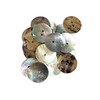 Akoya Natural Shell Buttons in Mother of Pearl Various Sizes