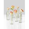 Serene Spaces Living Set of 6 Clear Glass Bud Vases