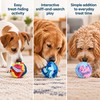 Dog Snuffle Ball for Nose Work – Interactive Treat-Hiding Slow