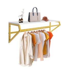 ILWorkTLs Wall Mounted Clothes Rack with Top Shelf,Display Garment Rack,Heavy Duty Garment Bar for Home Retail