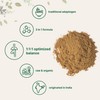 Micro Ingredients Organic Triphala Powder, 2 Pounds (Amla + Haritaki
