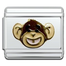 Fablinks Italian Bracelet Charms, 9mm Stainless Steel Charm Link for Women, Modular Jewelry Links for Men (Monkey 2)