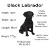 Vivid arts hollow resin black labrador 21cm