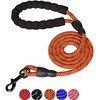 Heavy Duty Rope Dog Lead 5FT – Durable Anti-Slip Leash