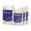 Goodbase [Jeongmol] Good Base Blueberry with Red Ginseng 50ml*30 Packs