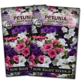 Sow Right Seeds - Dwarf Mixed Petunia Seeds to Plant - Full instructions for Planting and Growing a Flower Garden - Non-GMO Heirloom Seeds - Annual Hanging Basket Flower - Wonderful Gardening Gift (2)