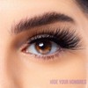 Louie Castro | FULL PERRA POTENTIAL Faux Mink Lashes Eyelashes
