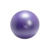 Gymnic Plus 65 Exercise Ball, Purple