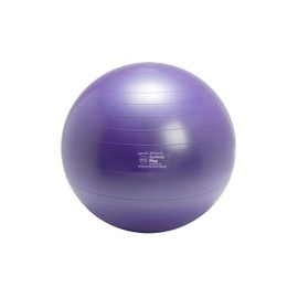 Gymnic Plus 65 Exercise Ball, Purple