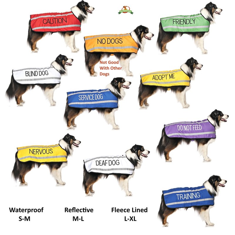 FRIENDLY (Known as Friendly) Green Colour Coded Neoprene Padded Dog