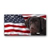 Chocolate Labrador on American Flag License Plate