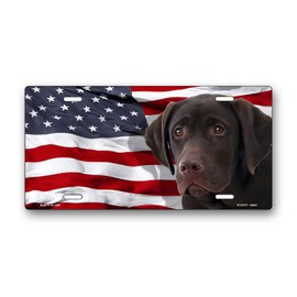 Chocolate Labrador on American Flag License Plate