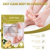24 Pieces Detox Foot Pipes Natural Detox Patch (Ginger)